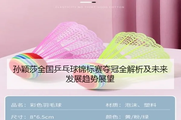 孙颖莎全国乒乓球锦标赛夺冠全解析及未来发展趋势展望 | LEYU SPORTS