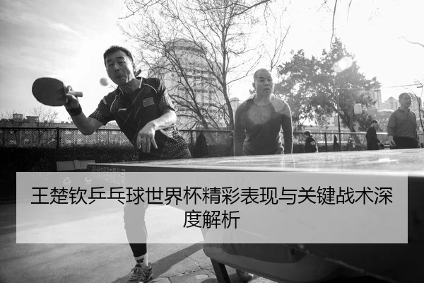 王楚钦乒乓球世界杯精彩表现与关键战术深度解析（LEYU SPORTS）
